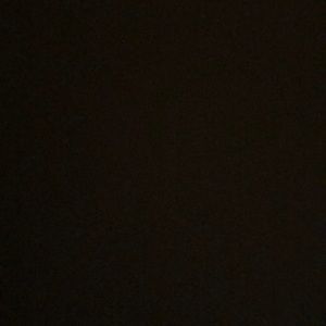 Meet your Posher, Phoebe